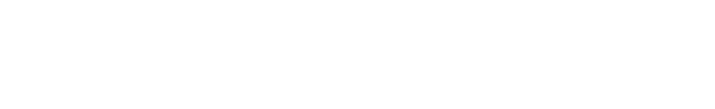 Logo Securebox blanc
